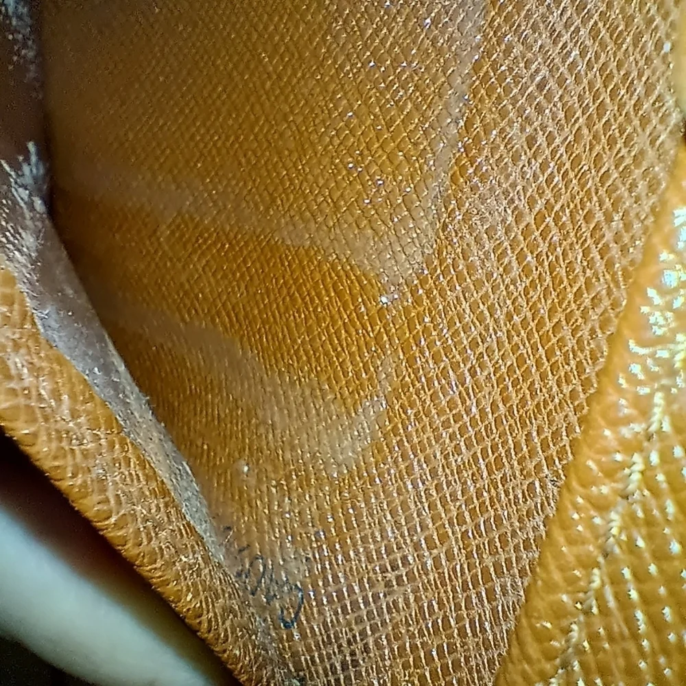 Louis Vuitton elegant louis